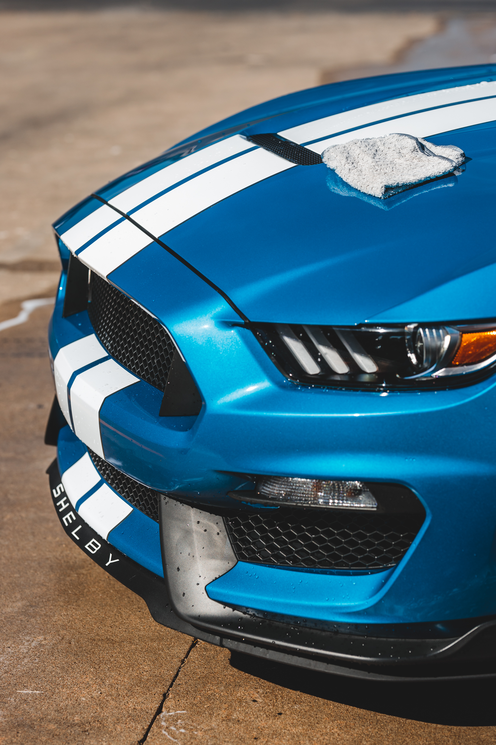 Vertical image of a Velocity Blue Shelby gt350 during a detailing service
